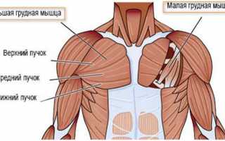 Все методы лечения растяжения грудных мышц